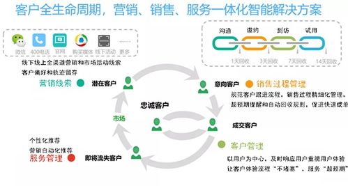 高端净水器企业携手任我行咨询,以 数字化 为净水产业再添新动能